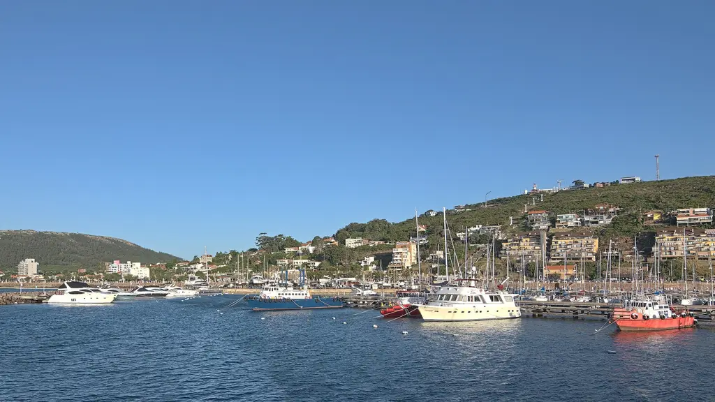 Puerto de Piriápolis con lanchas y veleros amarrados y el cerro con edificios al fondo, bajo cielo despejado. Foto: Ezarate / Wikimedia Commons (CC BY-SA 4.0) (archivo, imagen ilustrativa)