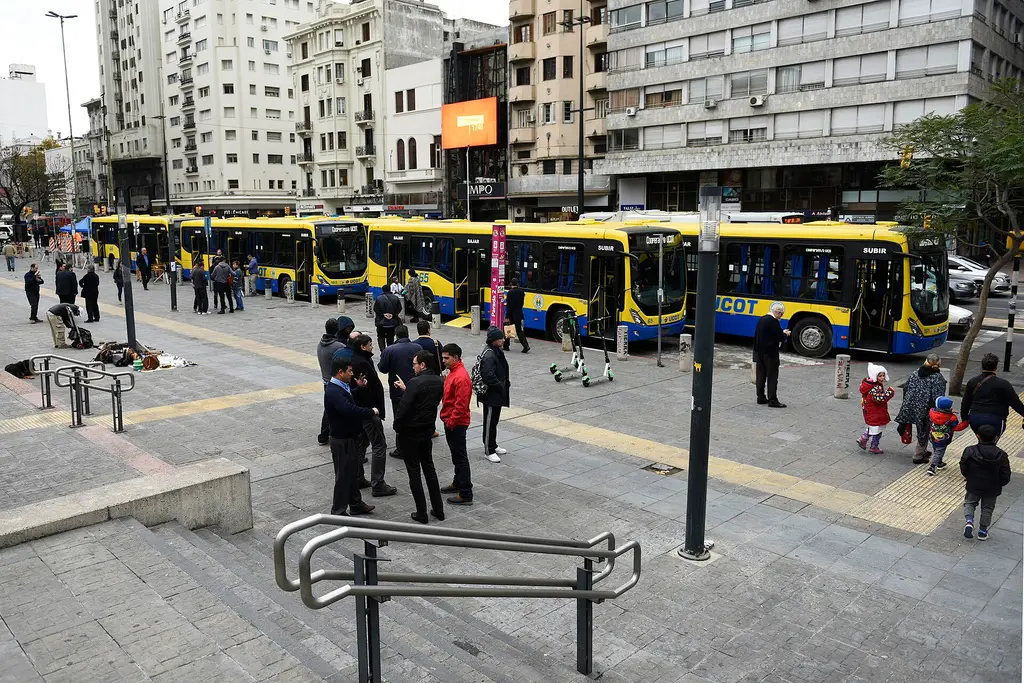 Ómnibus de la cooperativa UCOT estacionados en una explanada del Centro de Montevideo durante una presentación. Foto: Valentín Río / Wikimedia Commons (CC BY-SA 4.0) (archivo)