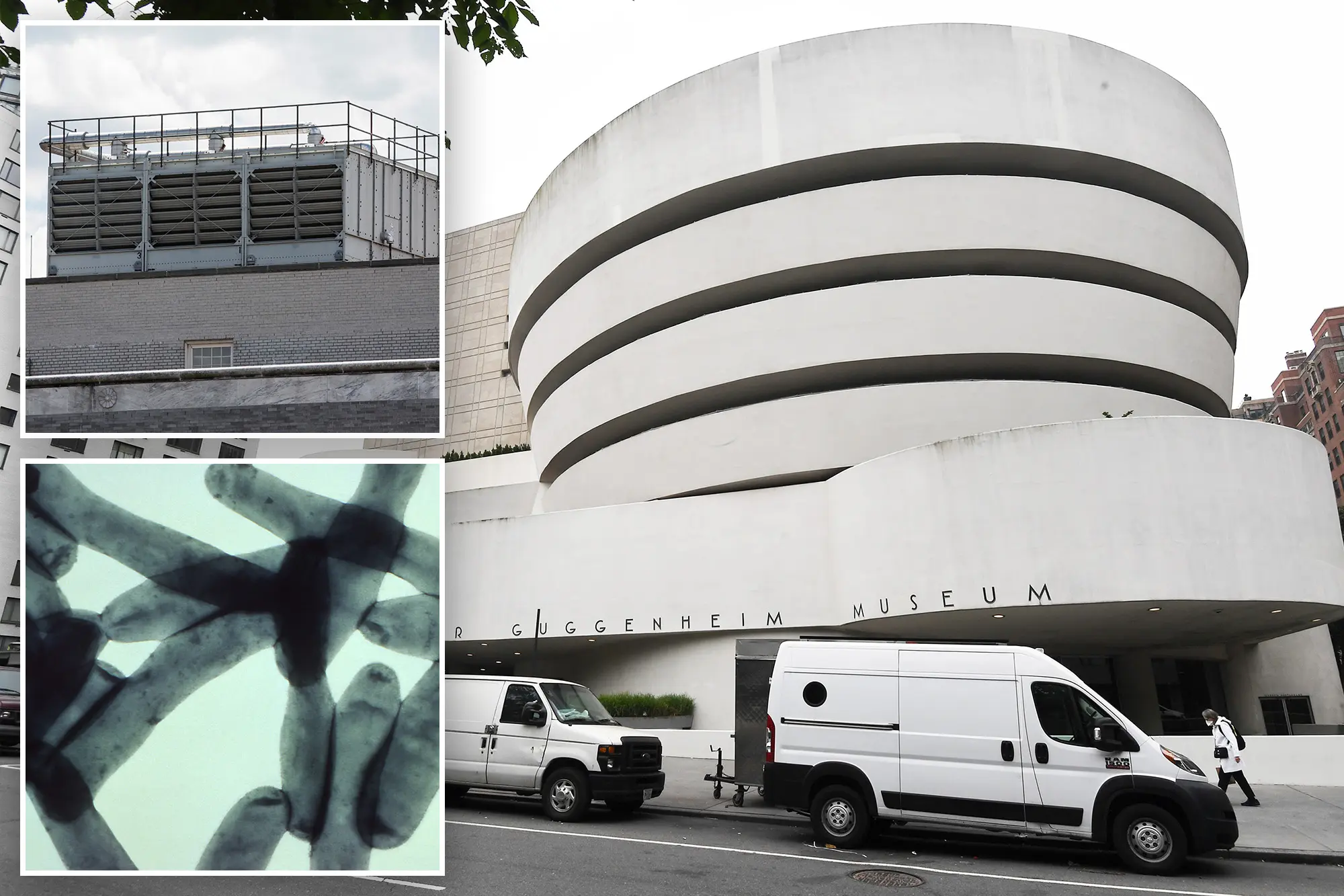 Brotes de legionelosis en Nueva York: 5 muertos y más de 80 infectados. Foto: New York Post