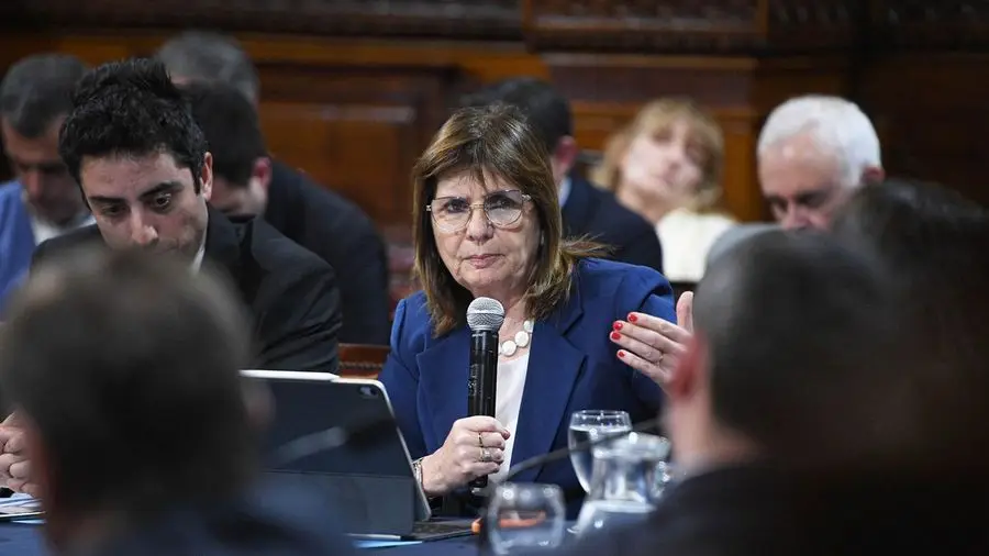 Patricia Bullrich habla con un micrófono en el recinto del Senado. Foto: Ámbito