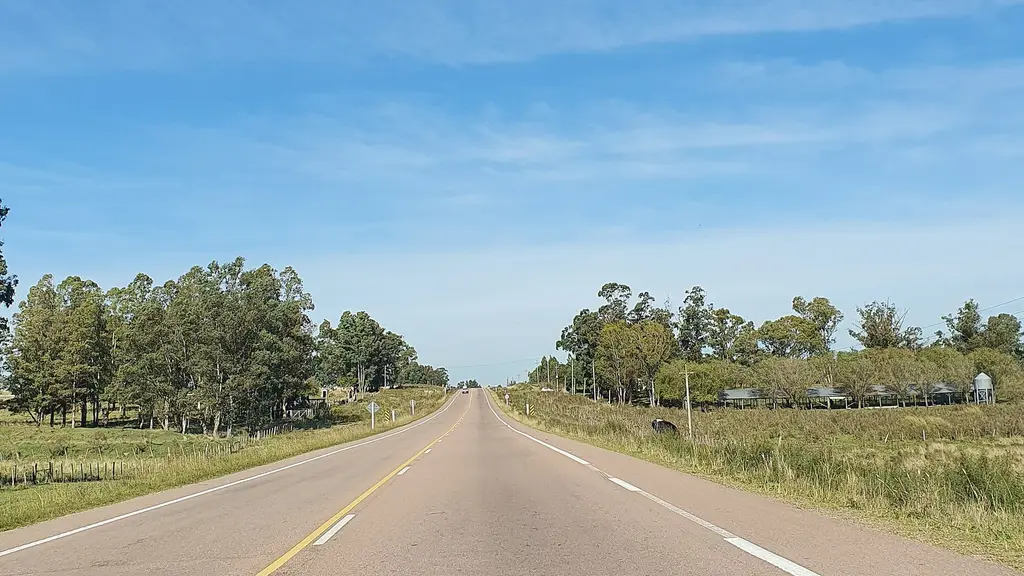 Tramo de la Ruta 7 en Canelones, de doble mano, entre campos y montes de eucaliptos. Foto: CITY MVD / Wikimedia Commons (CC BY-SA 4.0) (archivo, imagen ilustrativa)