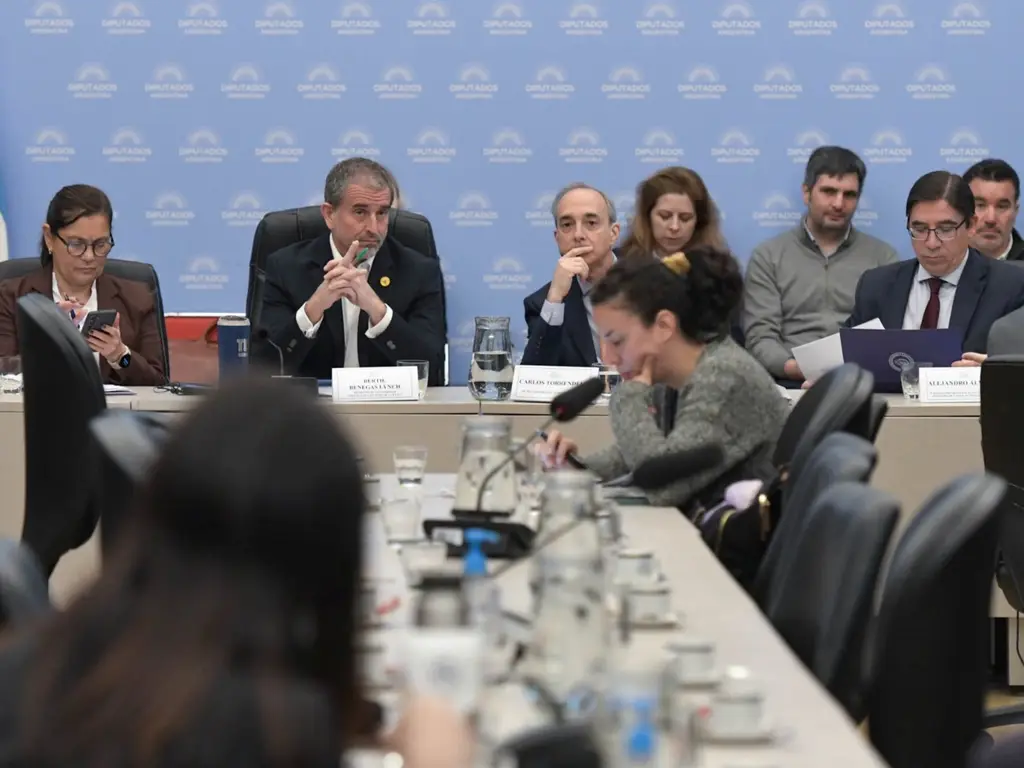 La comisión de Presupuesto, durante el debate. Foto: Clarín