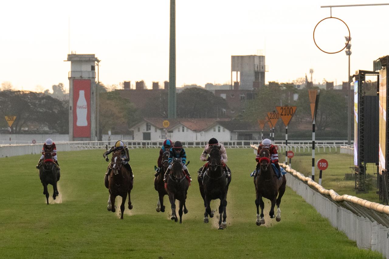 Caballos compitiendo en el Hipódromo de Maroñas. Foto: El País