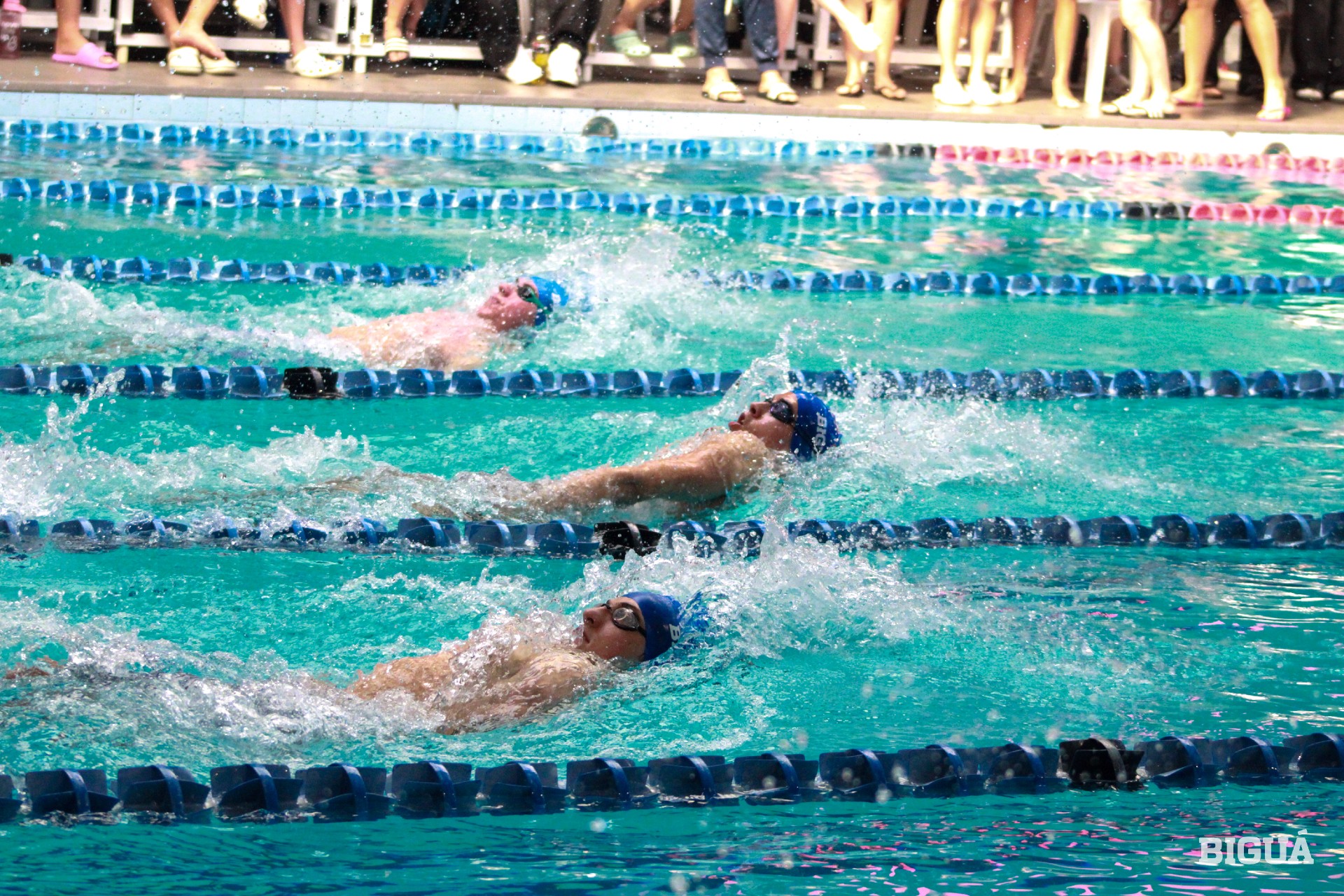 Competencia de natación en la Copa Biguá, con nadadores y público en la pileta del club Villa Biarritz. Foto: El País