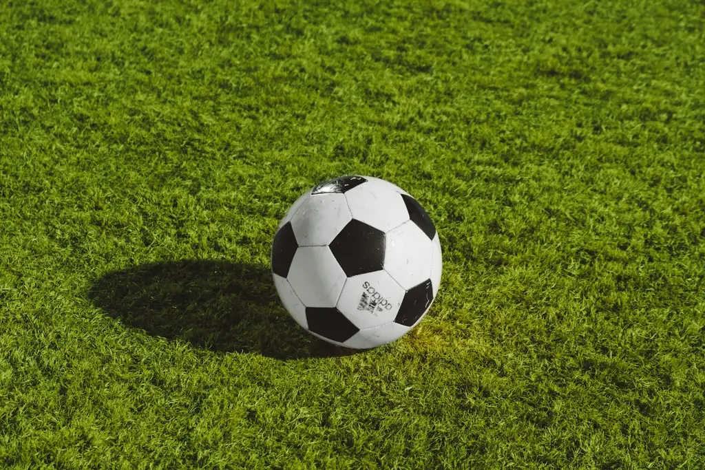 Cancha de fútbol vacía antes de un partido. Foto: Unsplash