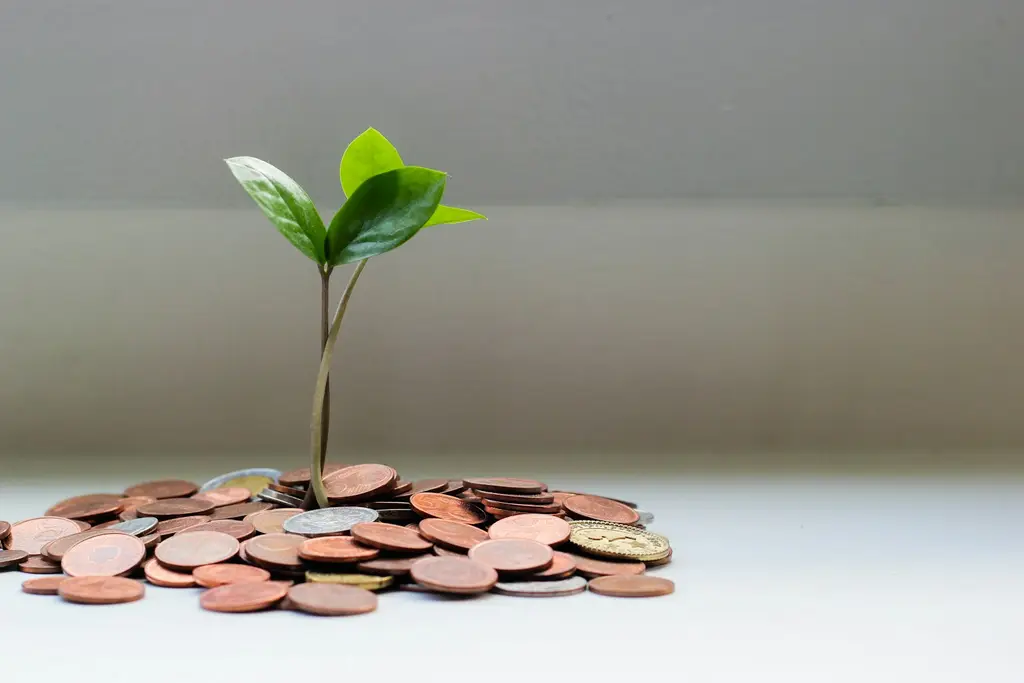 Monedas y billetes de dólar. Foto: Unsplash