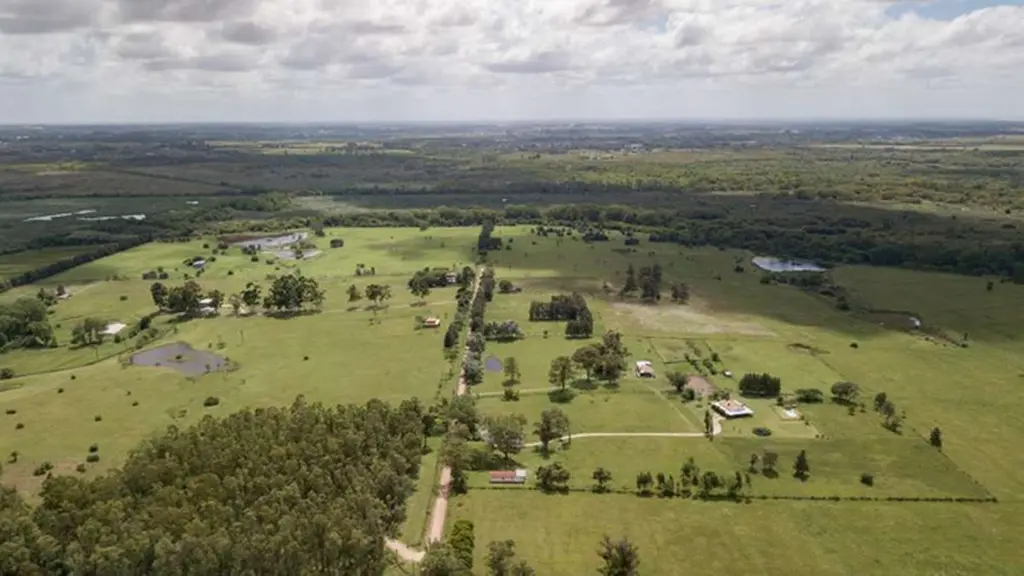 Los bañados de Carrasco, vistos desde el aire. Foto: El Observador