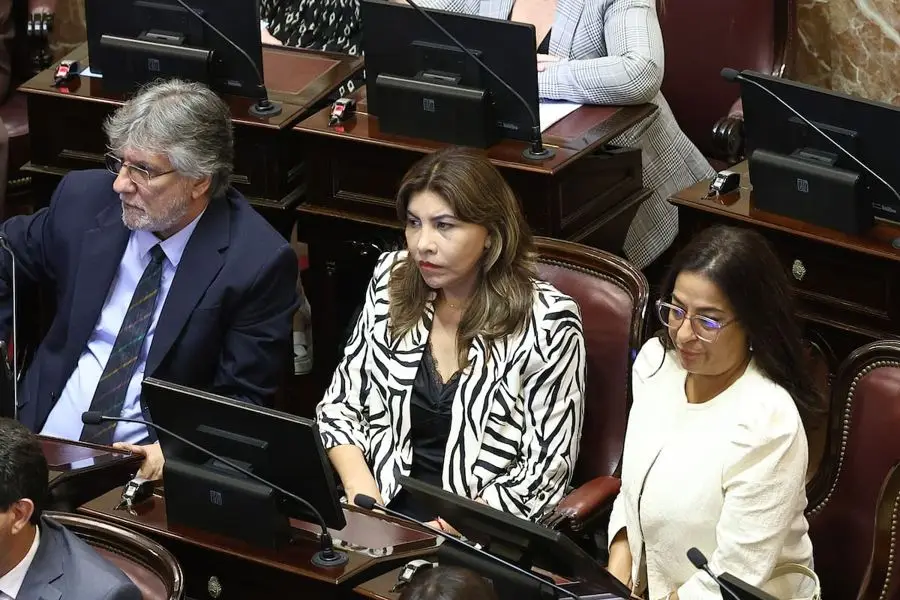 Senadores en sus bancas durante una sesión en el recinto. Foto: La Nación