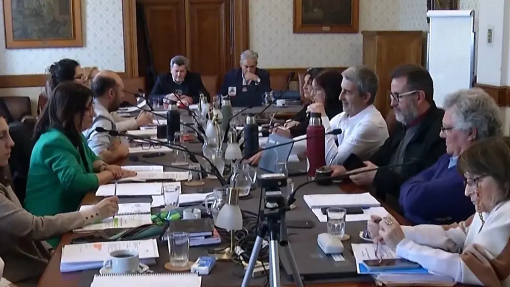 La comisión del Senado trata el proyecto de lenguaje claro. Foto: Subrayado