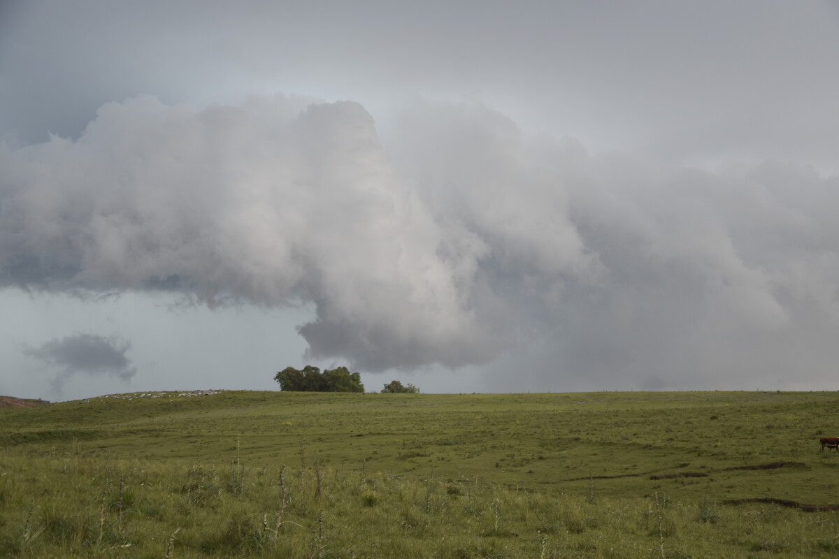 Clima tormentoso en Uruguay. Foto: El País