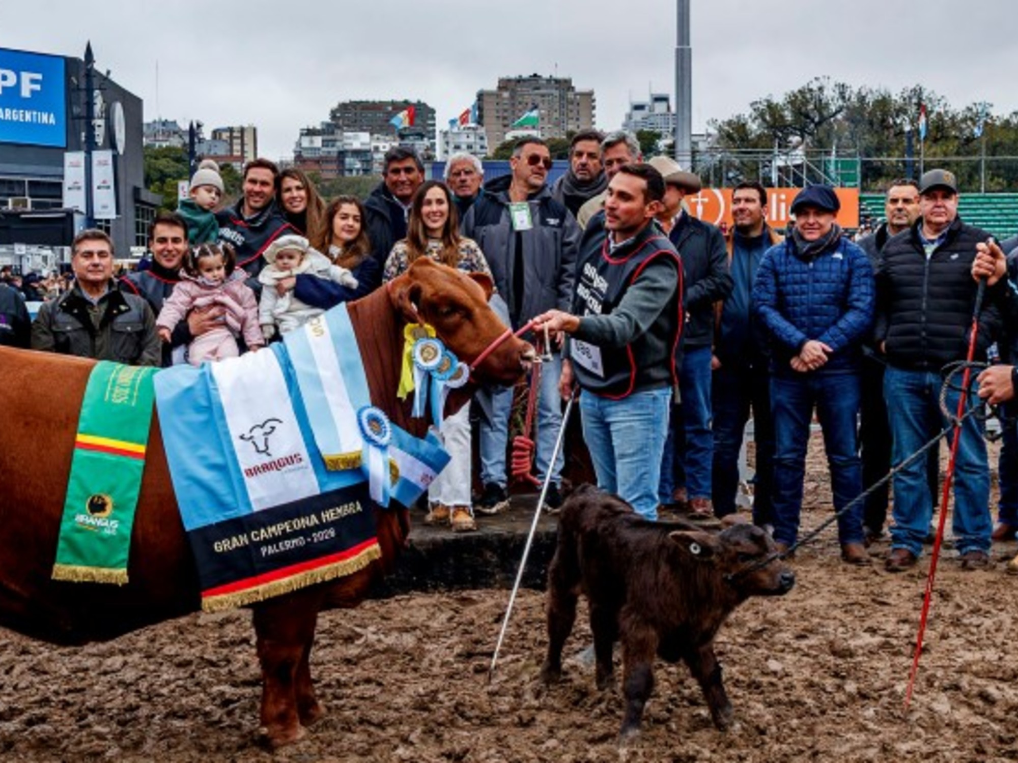 La vaquillona Gran Campeón Hembra Brangus en la Exposición Rural de Palermo. Foto: La Nación