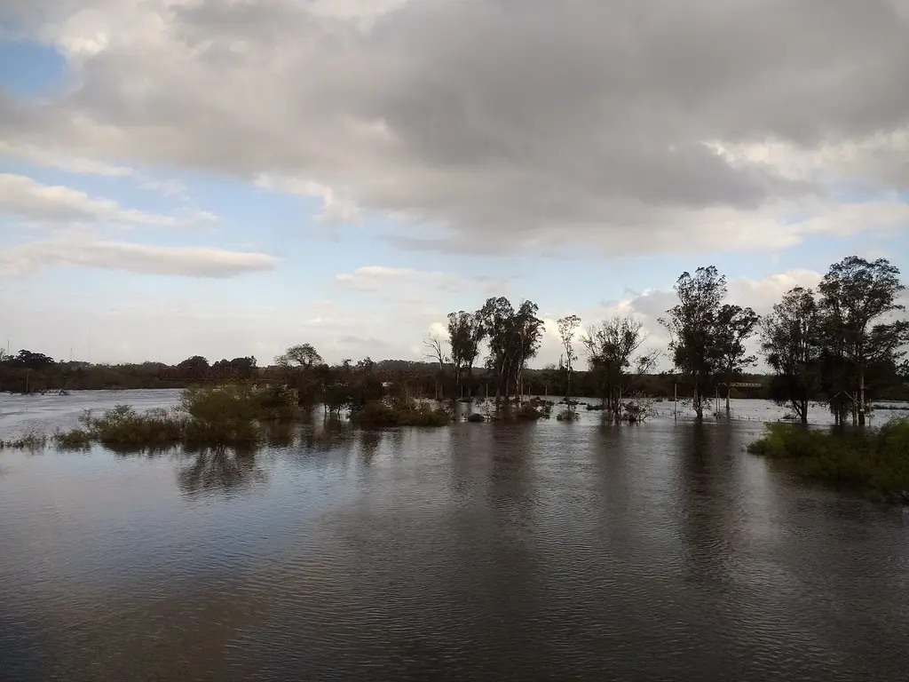 Campos y árboles bajo el agua durante una inundación en el departamento de Treinta y Tres. Foto: Mx. Granger / Wikimedia Commons (CC0) (archivo)