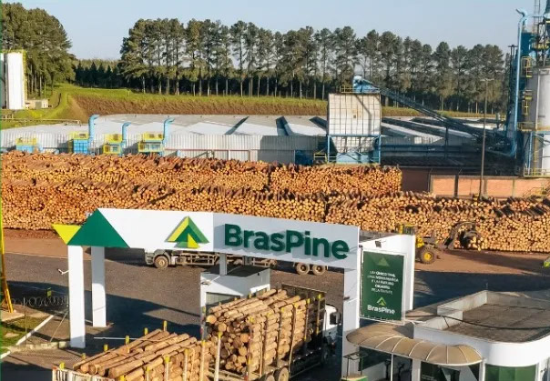 Construcción de la planta de BrasPine en Rivera, Uruguay. Foto: El País
