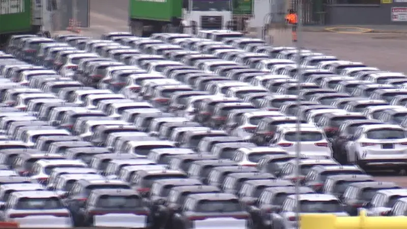 Vehículos en la terminal del puerto de Montevideo. Foto: Subrayado