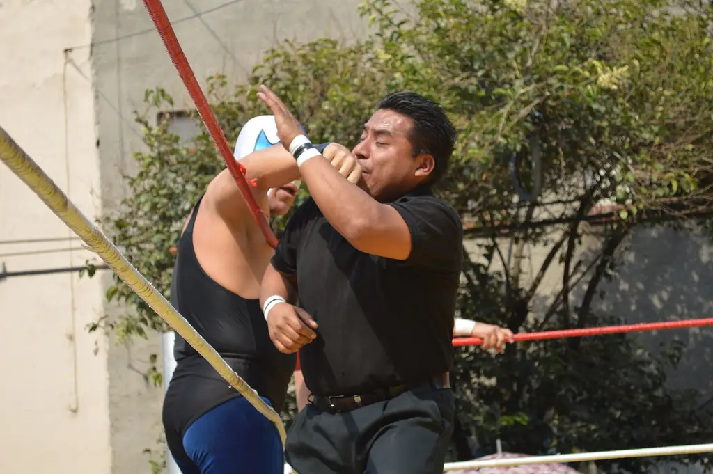 Un árbitro y un luchador enmascarado sobre el cuadrilátero durante una función de lucha libre en Ciudad de México. Foto: AlejandroLinaresGarcia / Wikimedia Commons (CC BY-SA 3.0) (archivo)