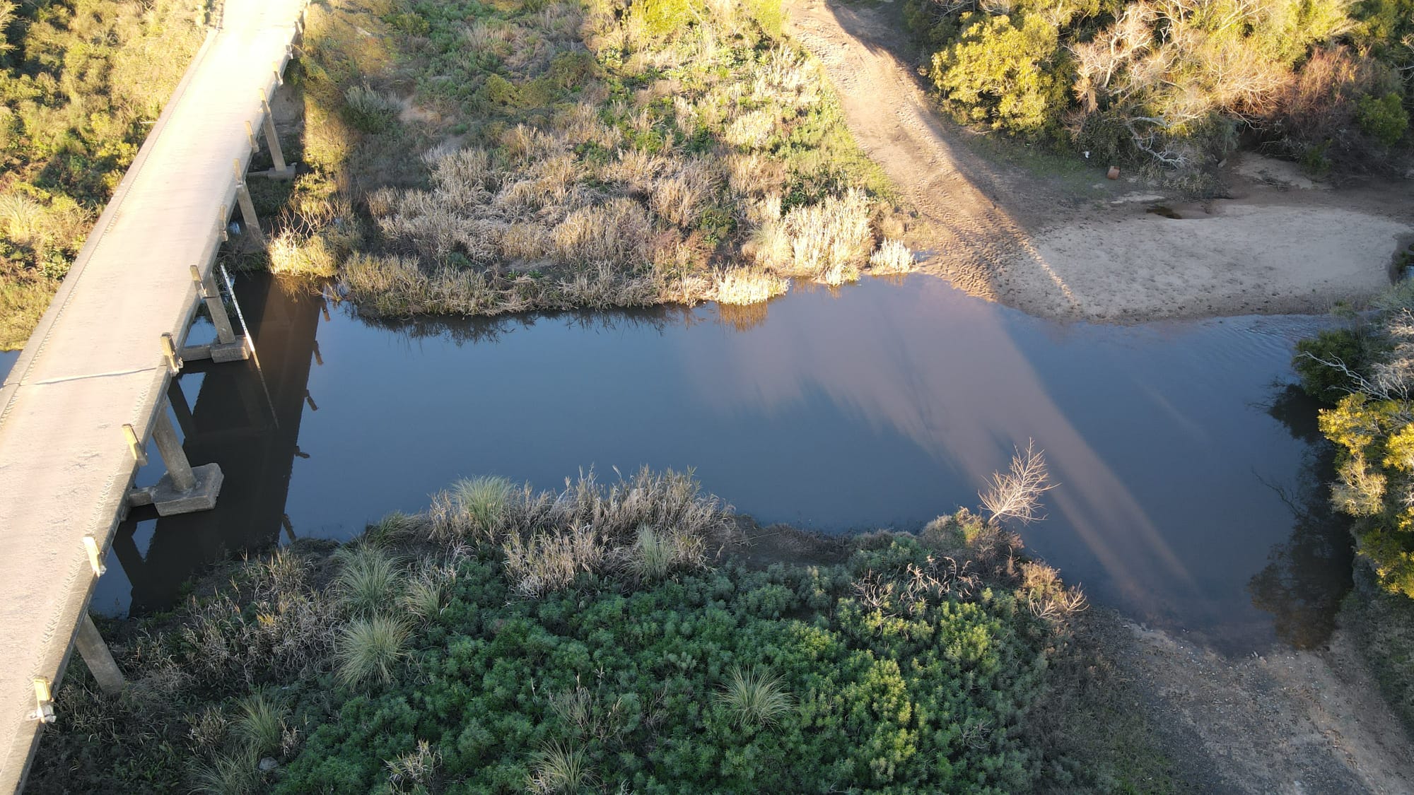 Movilización en defensa del agua y el medio ambiente en Montevideo. Foto: El Observador
