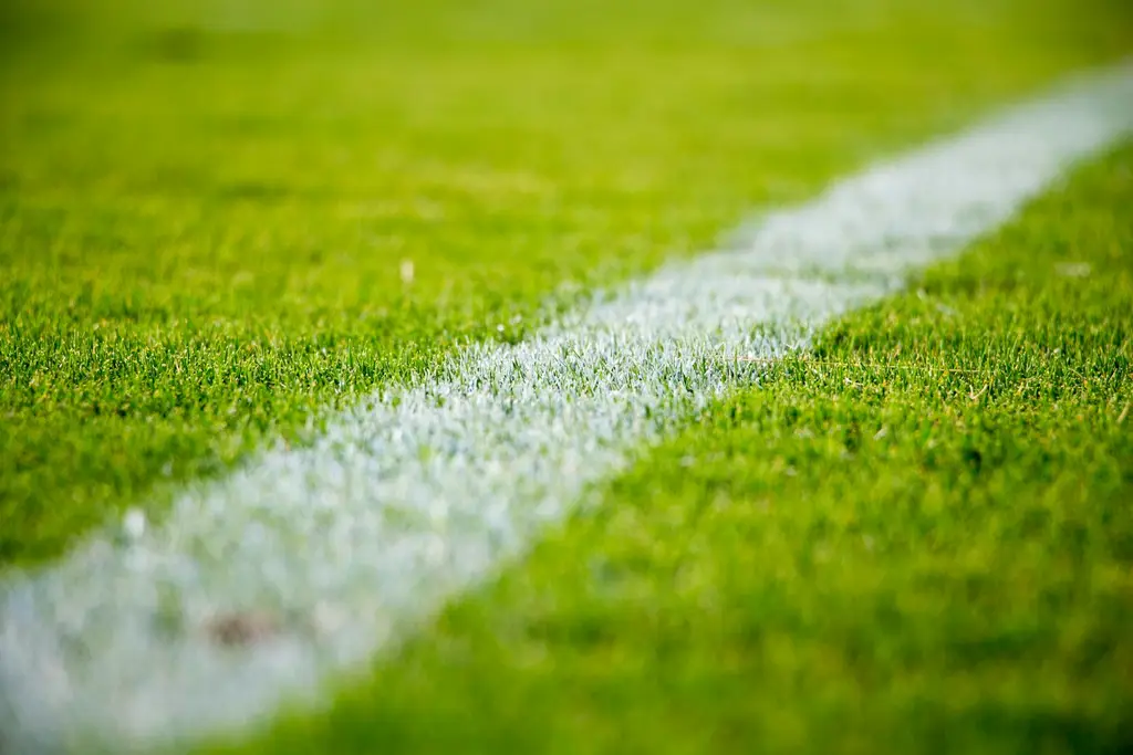 Gradas de un estadio de fútbol vacías. Foto: Unsplash