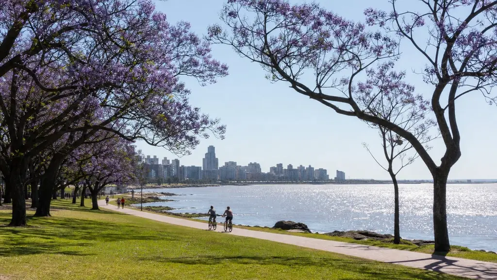 Jacarandás en flor sobre la rambla de Montevideo y el Río de la Plata. Ilustración editorial · Nación UY