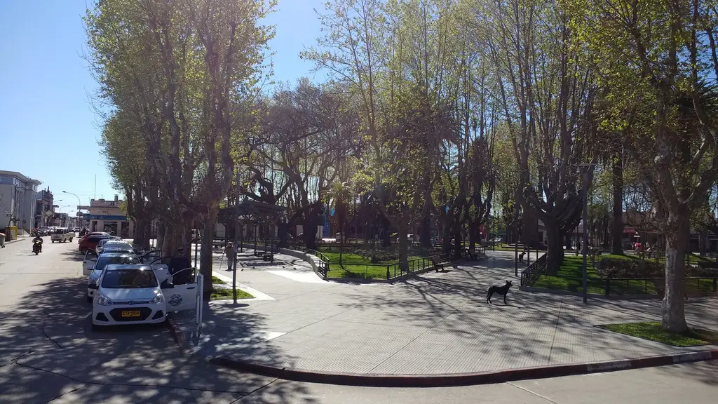 Plaza Independencia de la ciudad de Rocha, con árboles, bancos y taxis estacionados junto a la vereda (archivo). Foto: Mx. Granger / Wikimedia Commons (CC0)