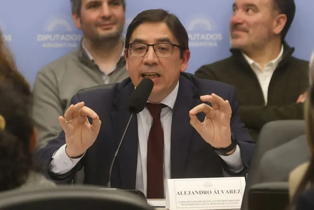 Alejandro Álvarez habla ante la comisión de Presupuesto. Foto: La Nación