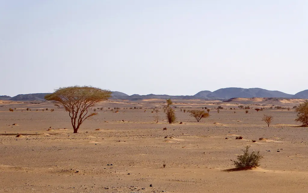 Paisaje del desierto de Nubia, en el norte de Sudán, región fronteriza con Egipto. Foto: Hans Birger Nilsen / Wikimedia Commons (CC BY-SA 2.0) (archivo)