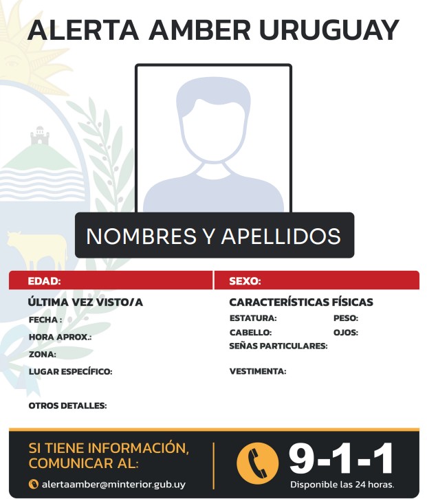 Foto de un adolescente desaparecido. Foto: Ministerio del Interior
