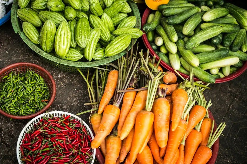 Campo agrícola con cultivos verdes. Foto: Unsplash